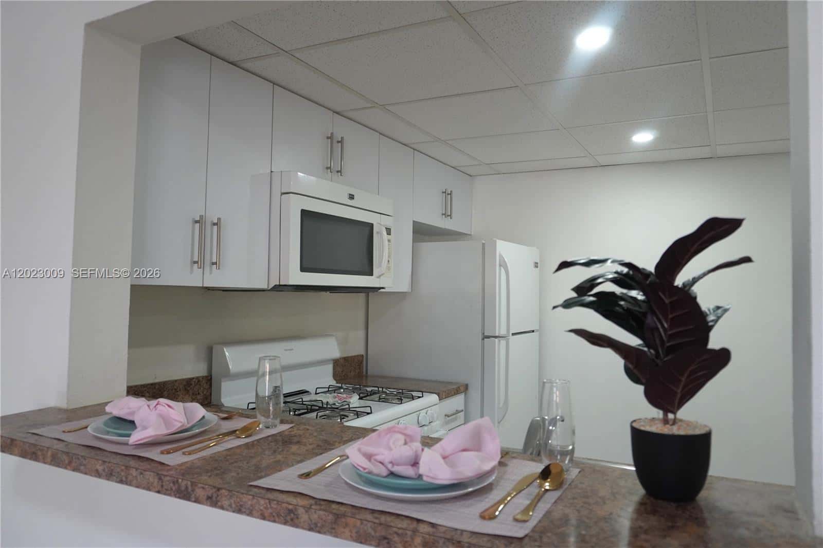 17901 NW 68th Ave # S204, Hialeah FL 33015