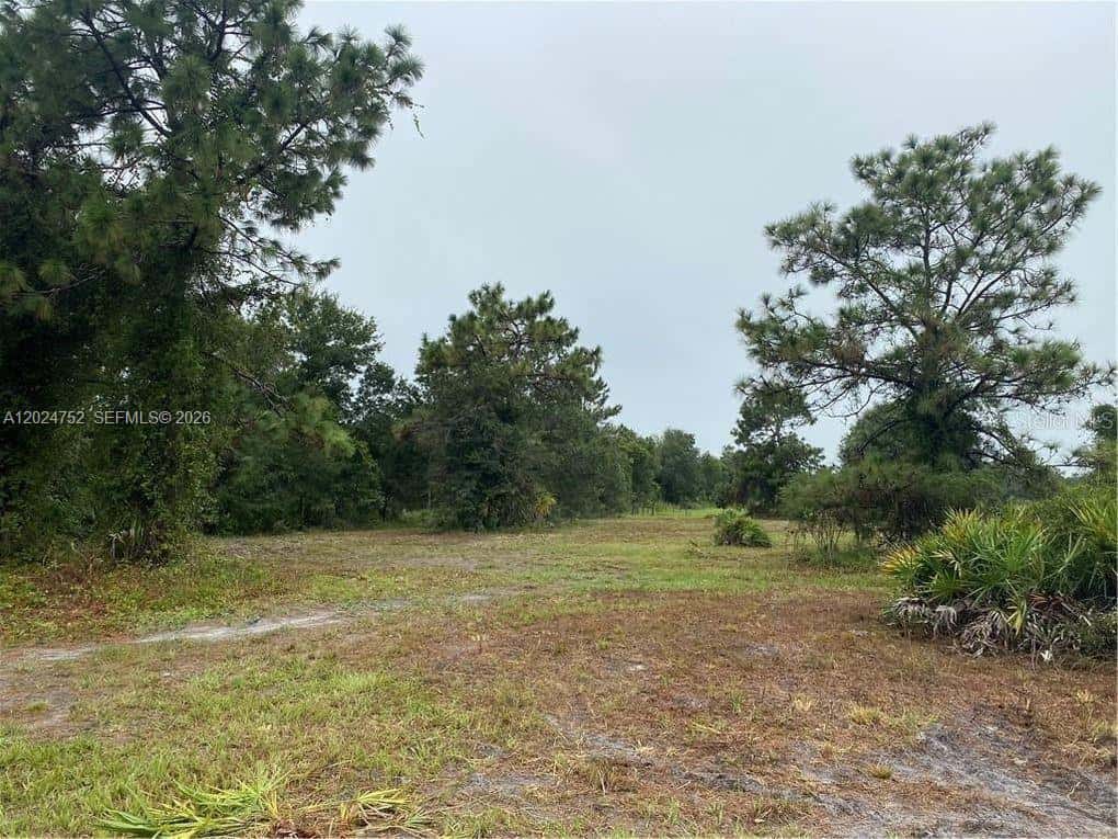 1525 N HIGHWAY 17, Unincorporated Dade County FL 34266
