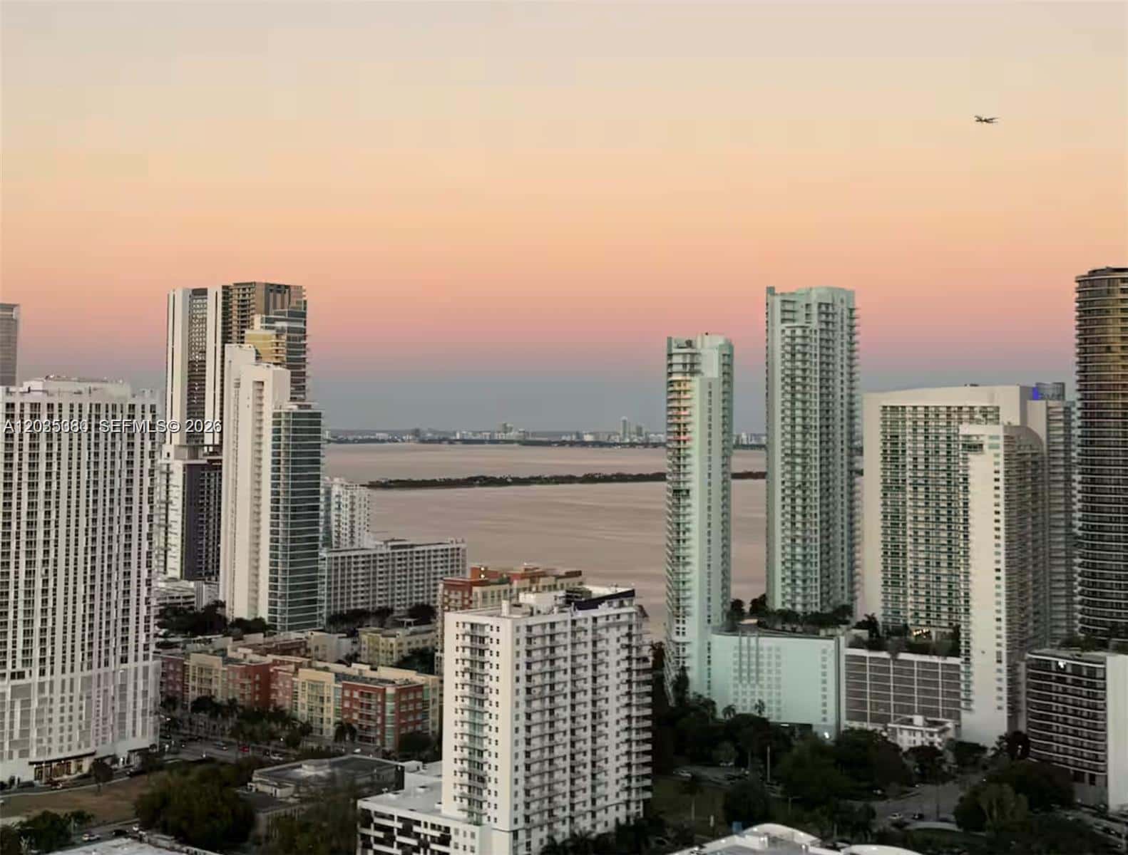 1600 NE 1 AVE # 3519, Miami FL 33132