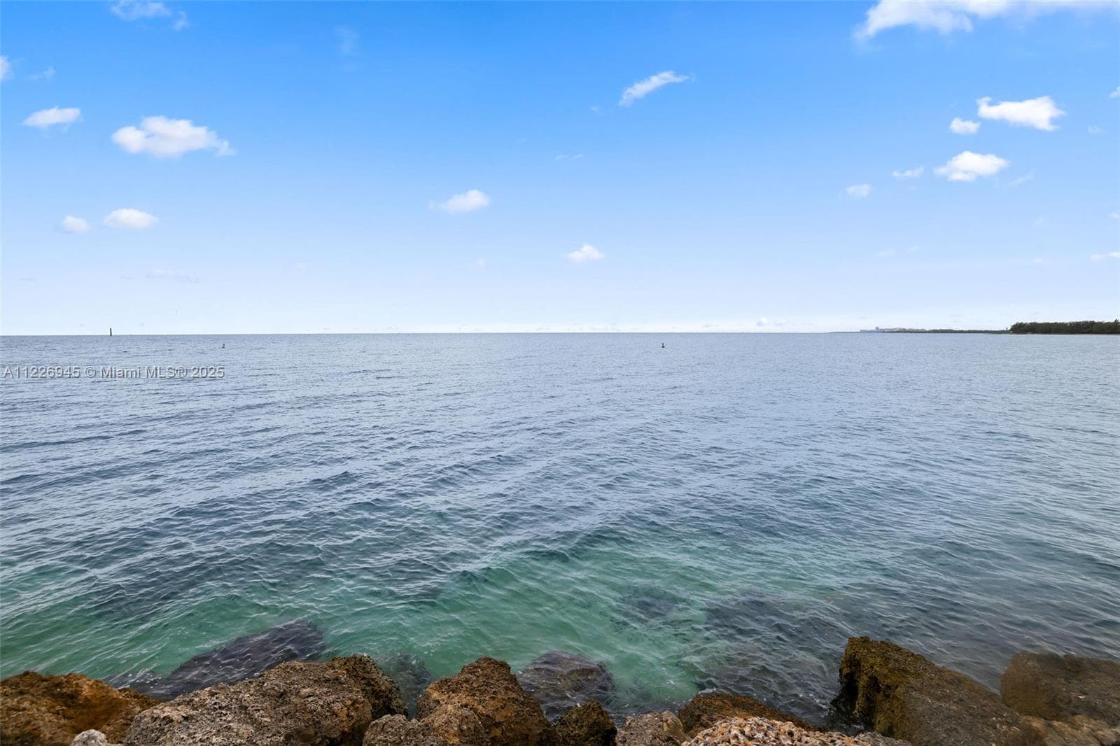 19126 Fisher Island Dr # 19126, Miami Beach FL 33109 — 42
