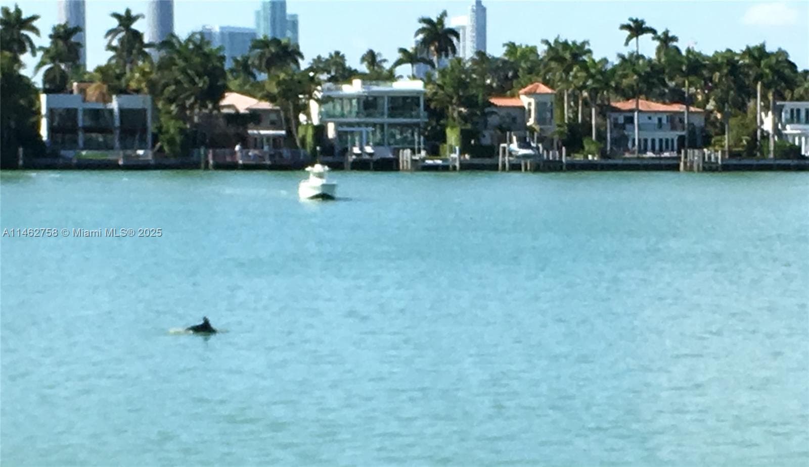 1 Century Ln # 209, Miami Beach FL 33139 — 32