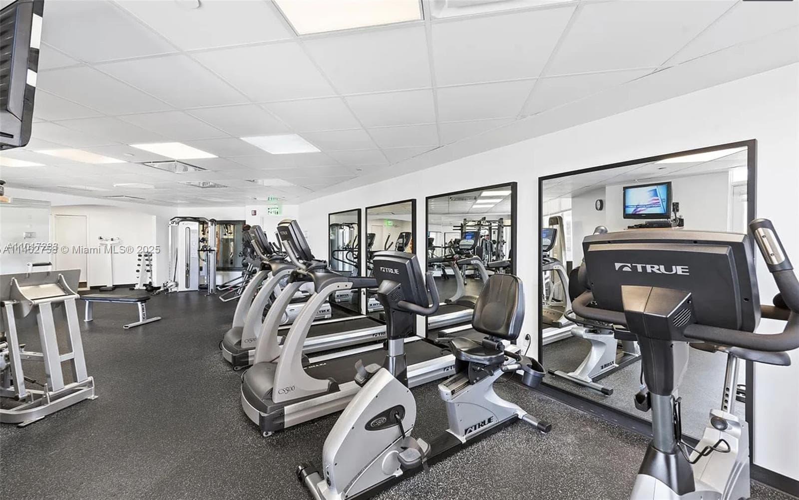 1 Century Ln # 209, Miami Beach FL 33139 — 33
