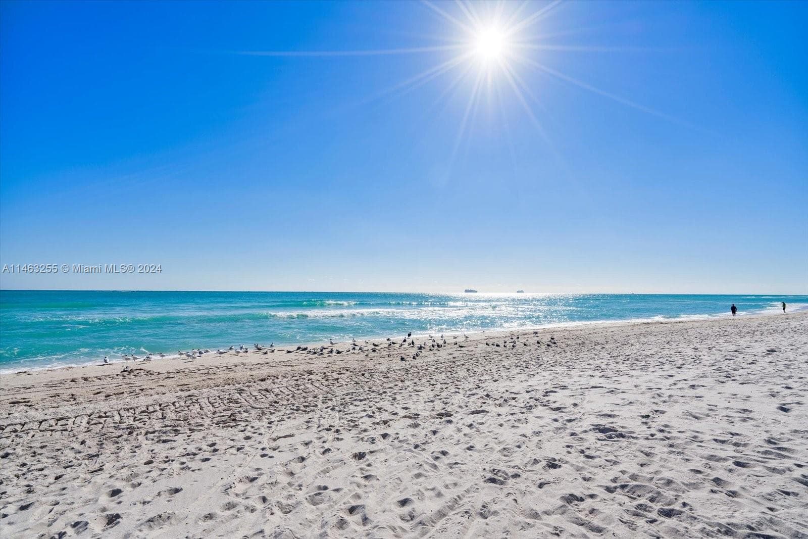 5601 Collins Ave # 1514, Miami Beach FL 33140 — 5