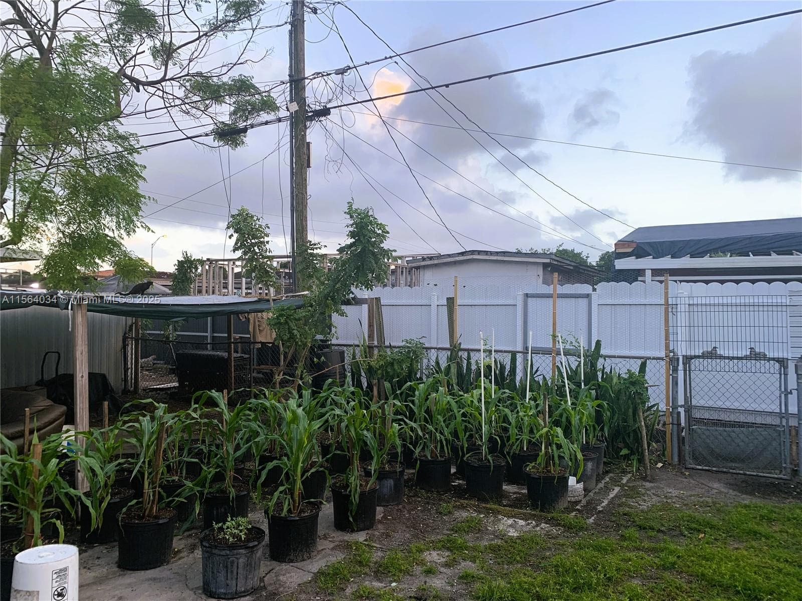 662 E 21st St, Hialeah FL 33013 — 21
