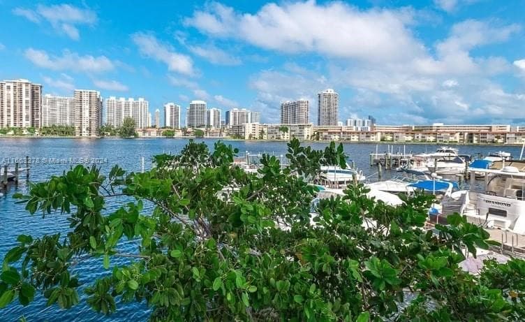 18061 Biscayne Blvd # 702, Aventura FL 33160 — 36
