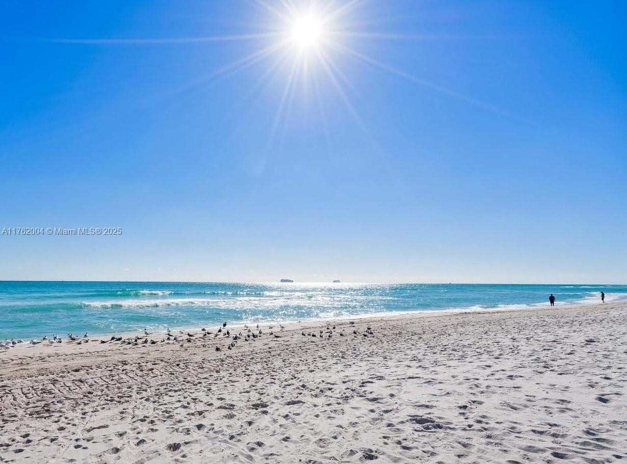The Pavilion Condo, Miami Beach, FL — 23