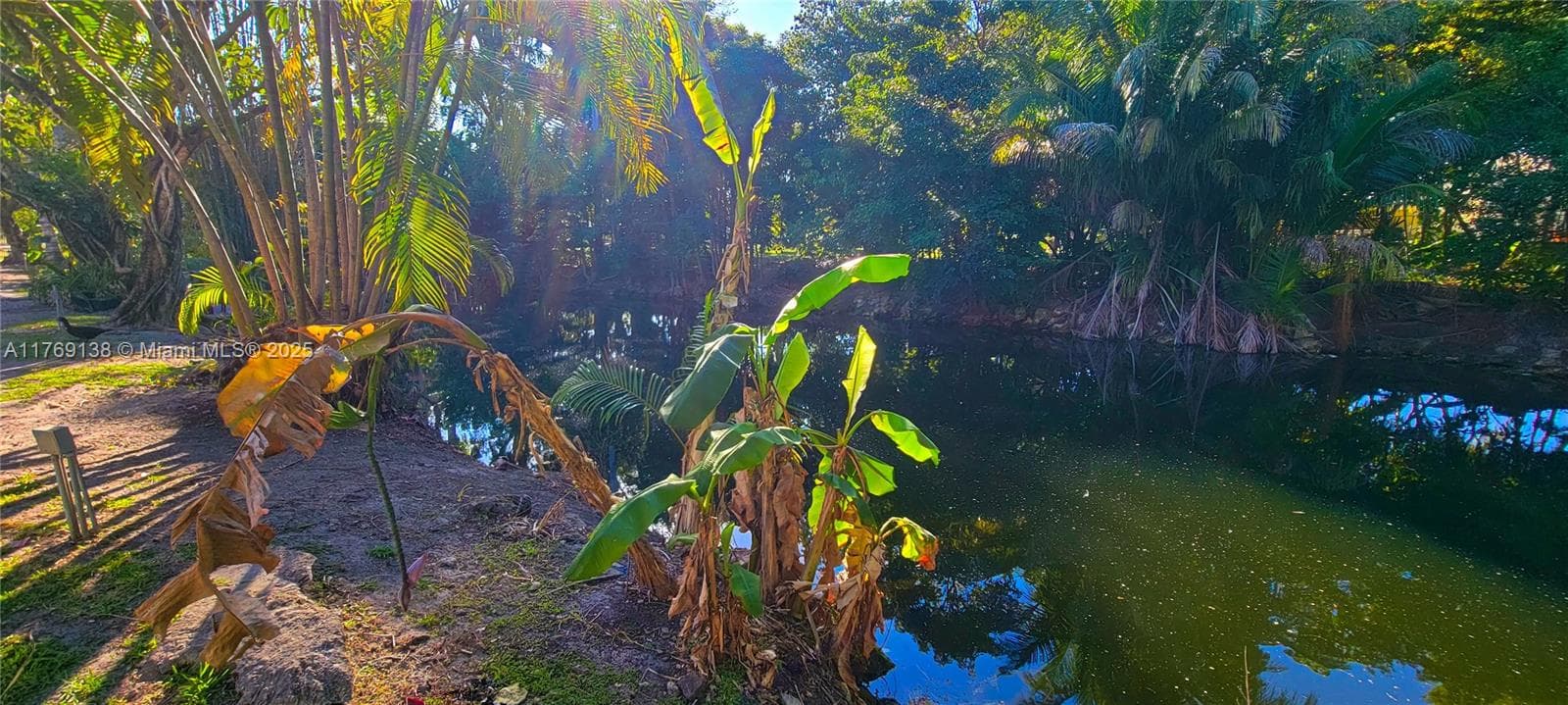 14241 Memorial Hwy # 9F, Miami FL 33161 — 31