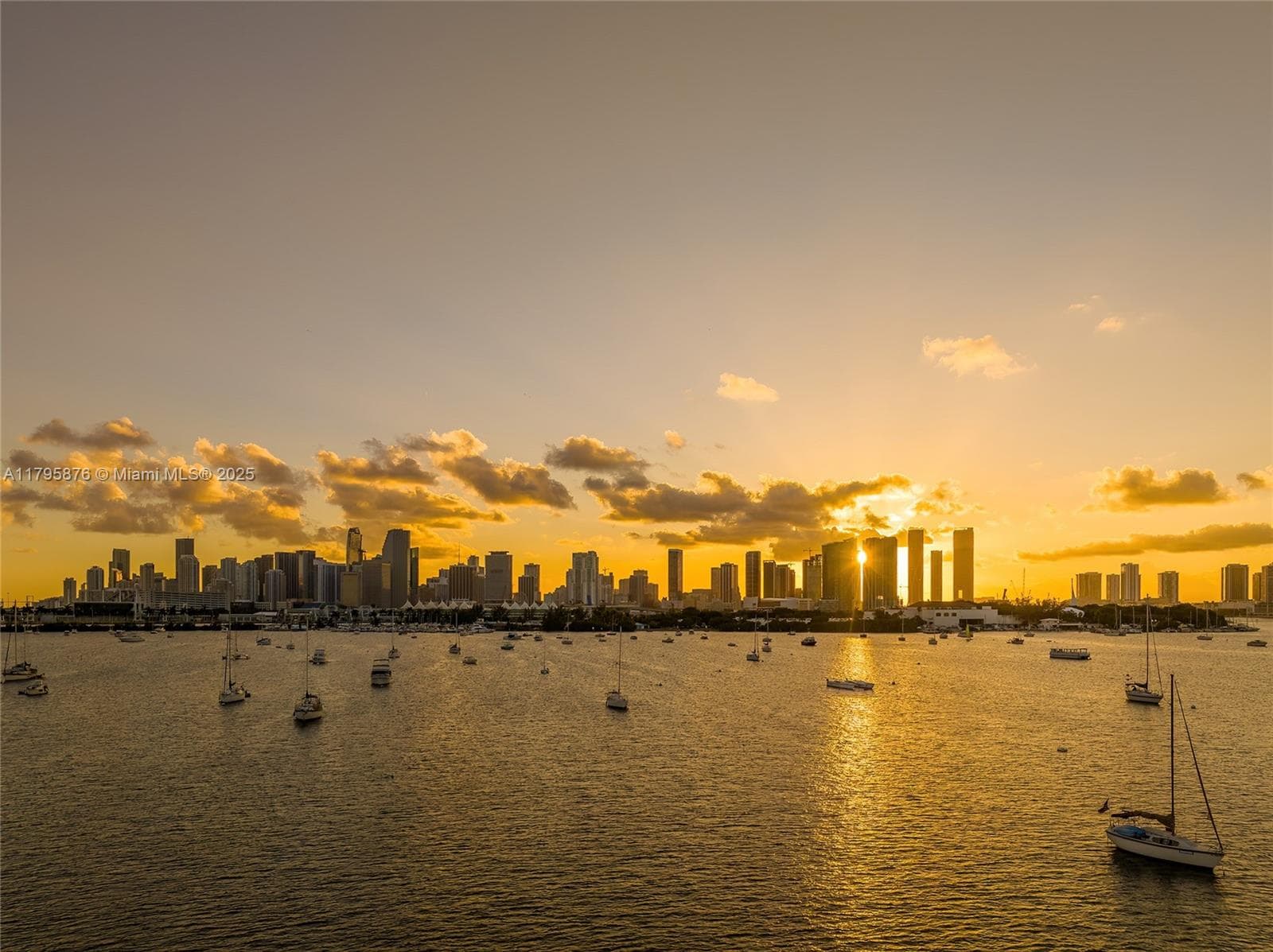 441 N Hibiscus Dr, Miami Beach FL 33139 — 51