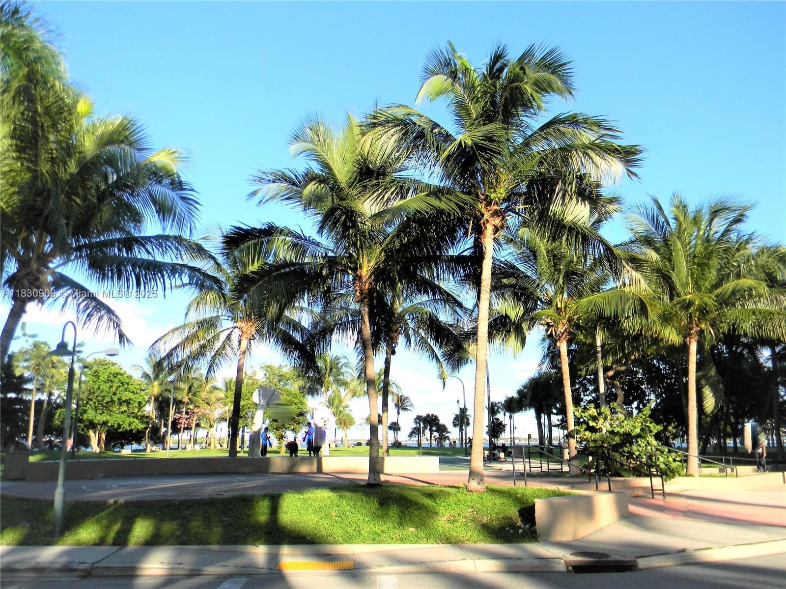 2000 N Bayshore Dr # 509, Miami FL 33137 — 80