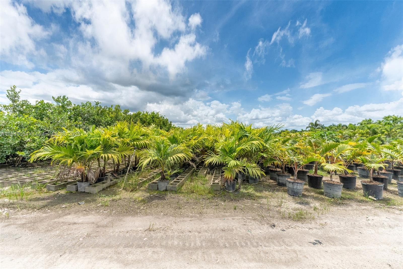 19000 SW 177th Ave KROME, Miami FL 33187 — 34