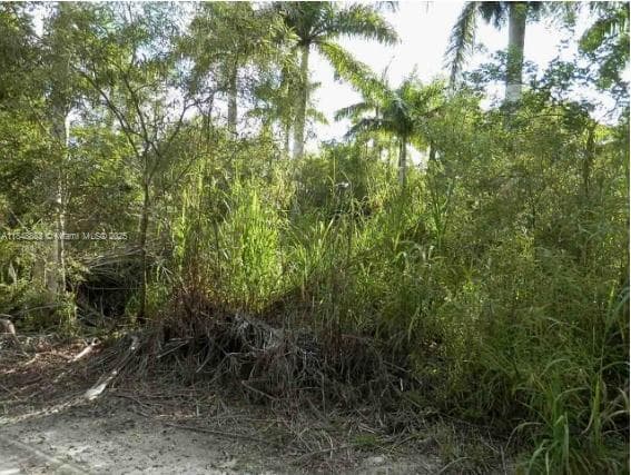 SW 212th Ave, Unincorporated Dade County FL 33034 — 3