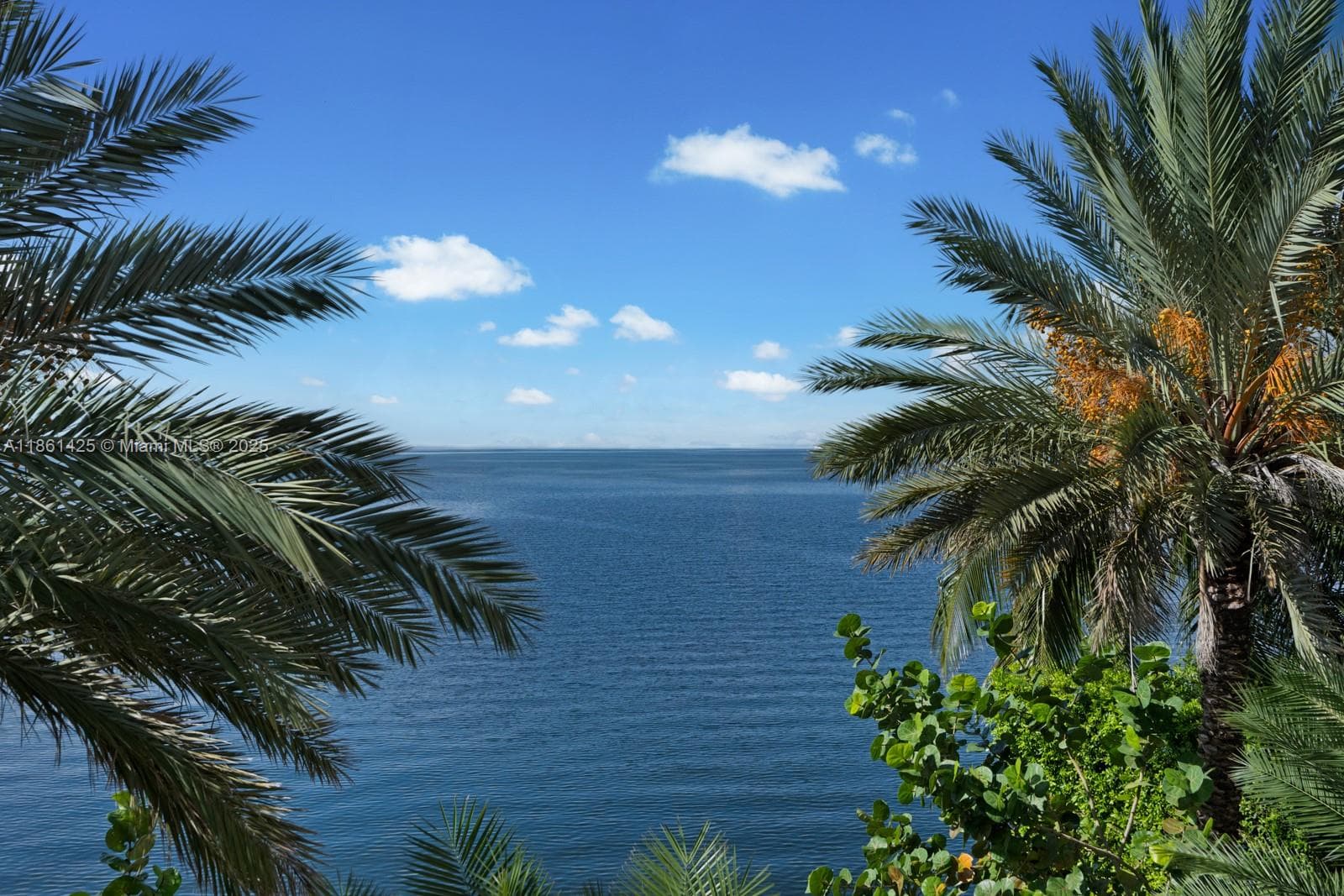 1840 S Bayshore Ln, Miami FL 33133 — 49