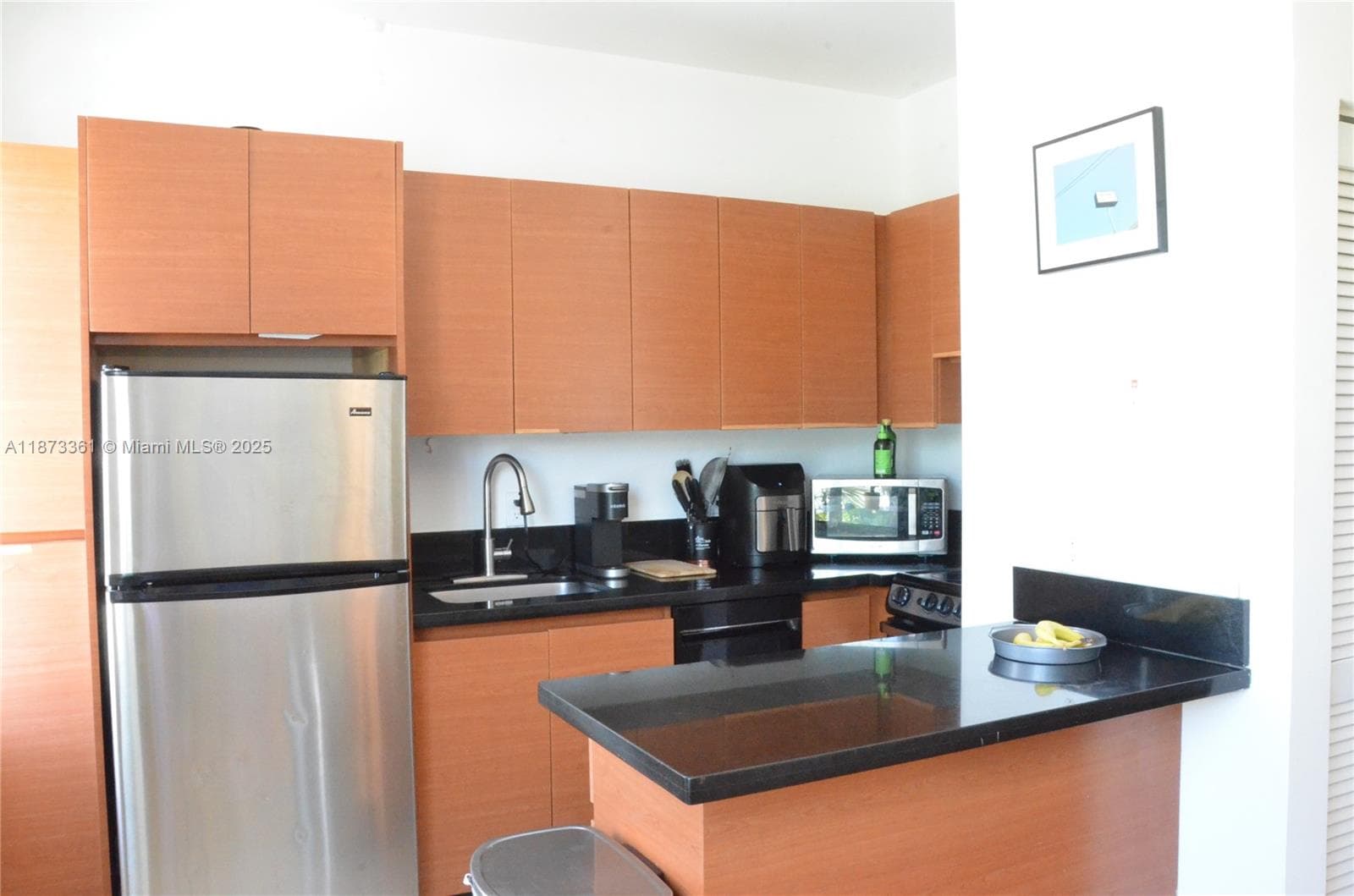 1244 Pennsylvania Ave # 302, Miami Beach FL 33139 — 8