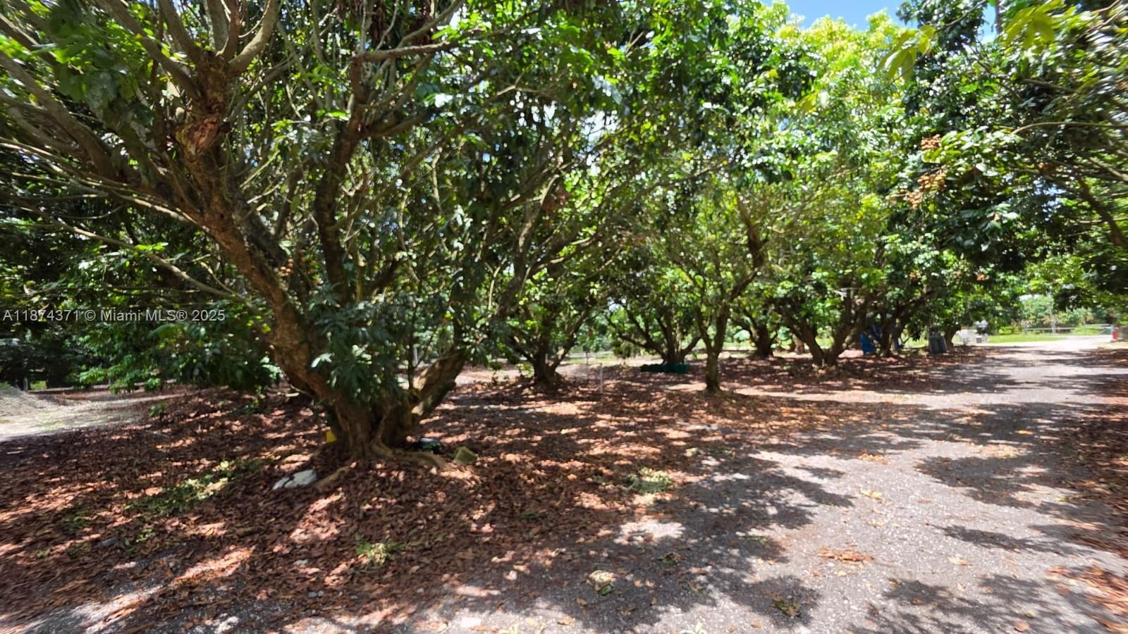 20970 SW 296 St., Homestead FL 33030 — 7