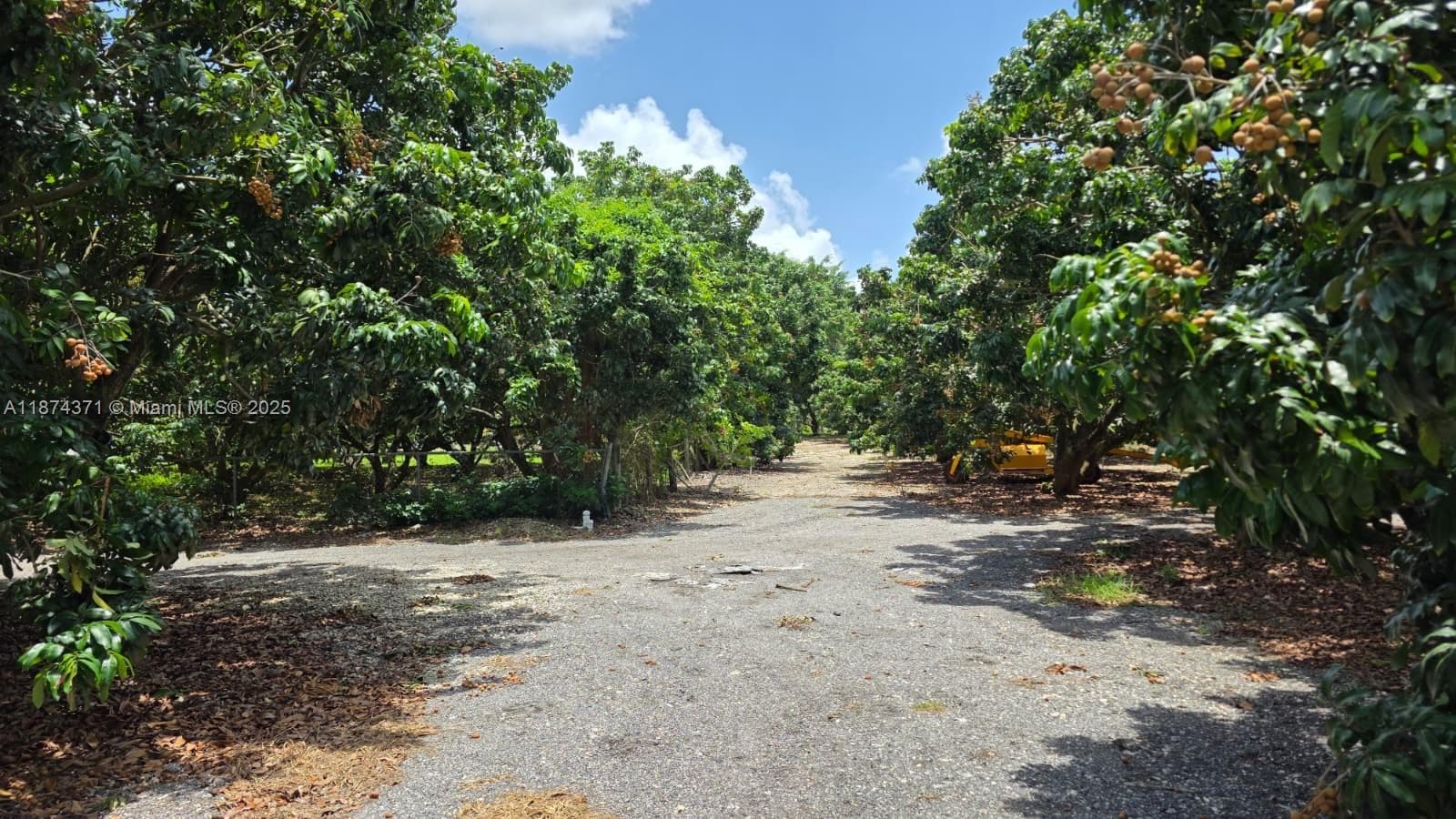 20970 SW 296 St., Homestead FL 33030 — 5