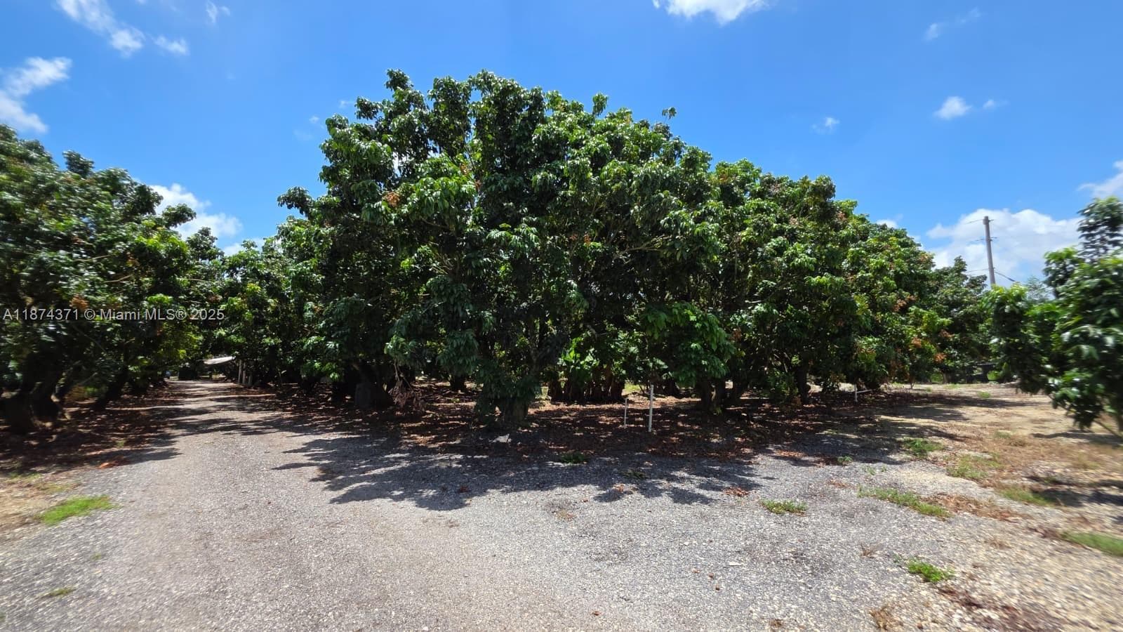 20970 SW 296 St., Homestead FL 33030 — 10