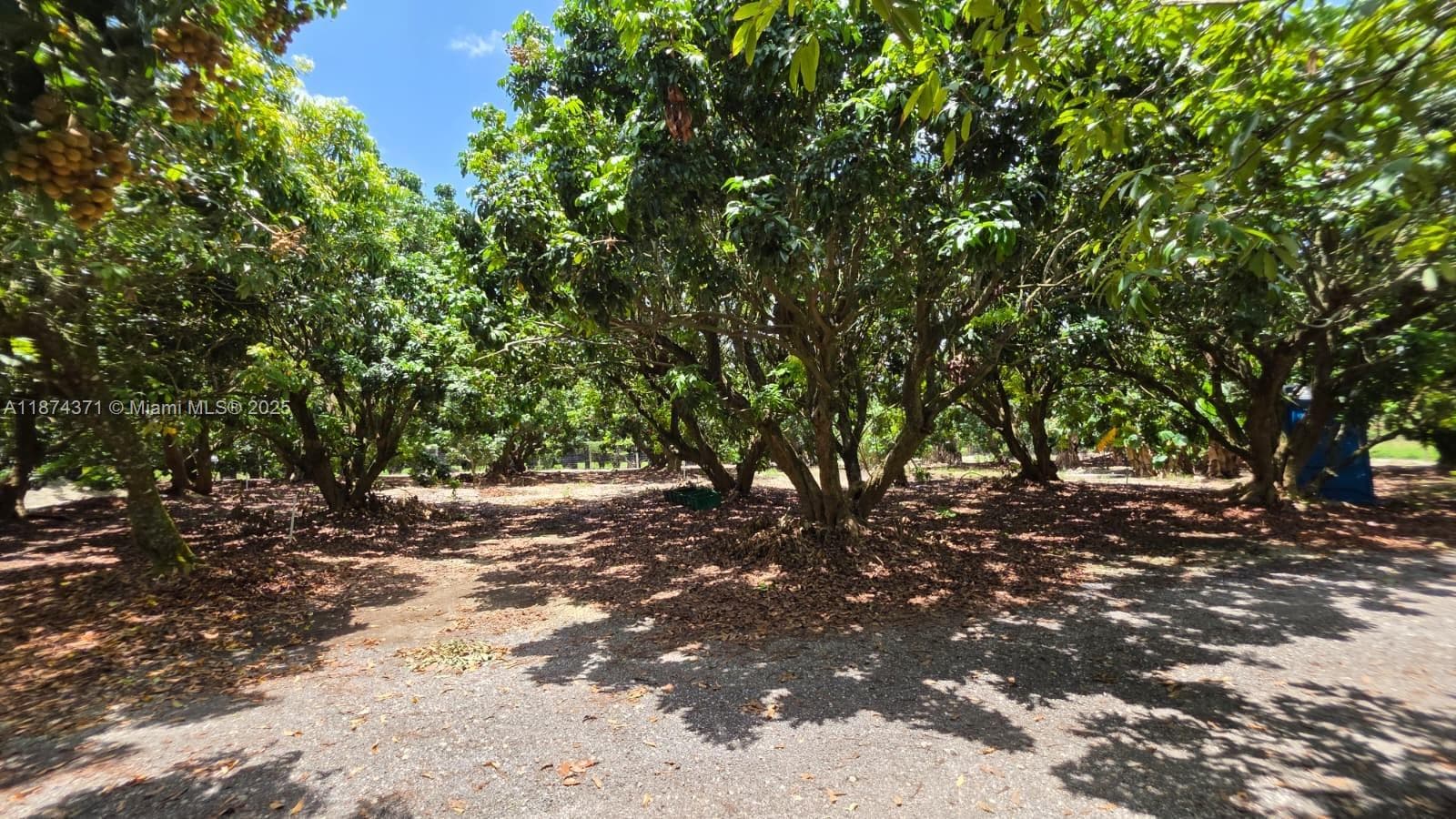 20970 SW 296 St., Homestead FL 33030 — 8