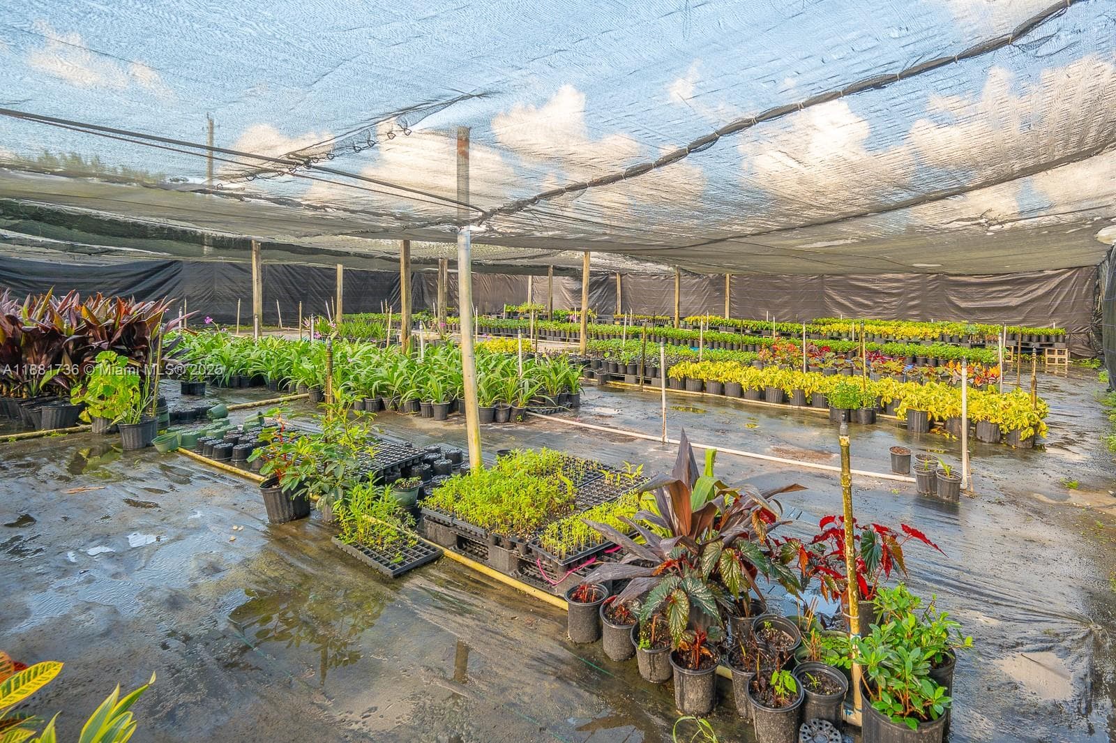 20750 SW 256 ST, Homestead FL 33031 — 23