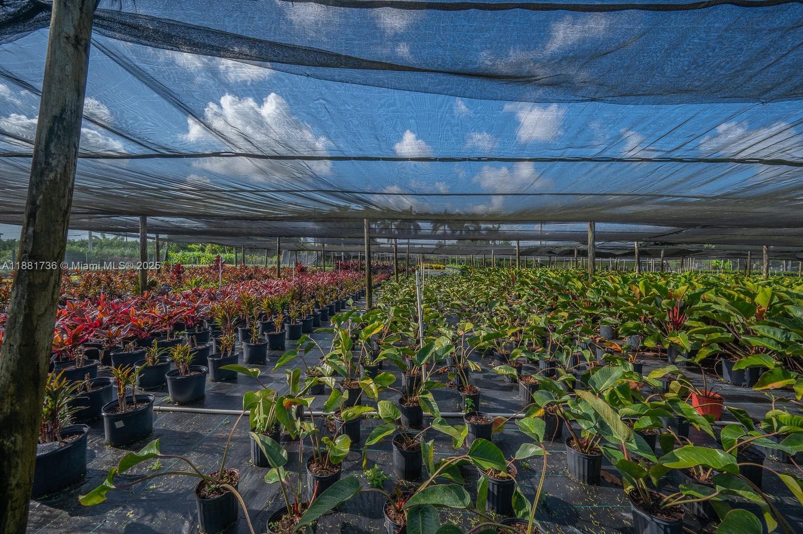 20750 SW 256 ST, Homestead FL 33031 — 42