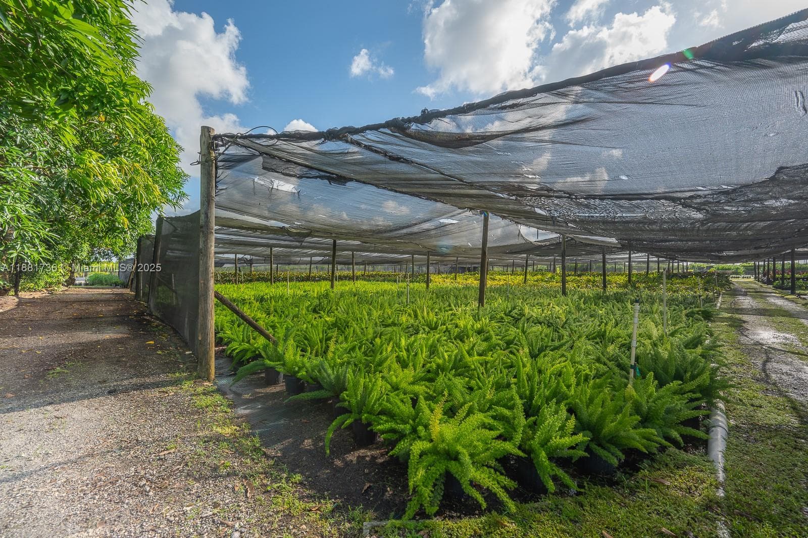20750 SW 256 ST, Homestead FL 33031 — 47