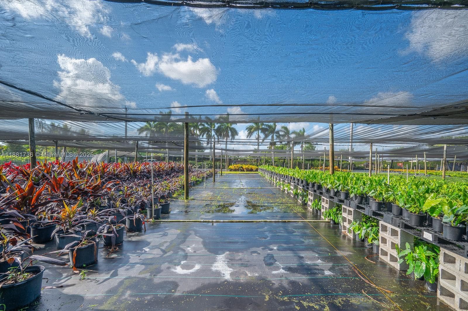 20750 SW 256 ST, Homestead FL 33031 — 36