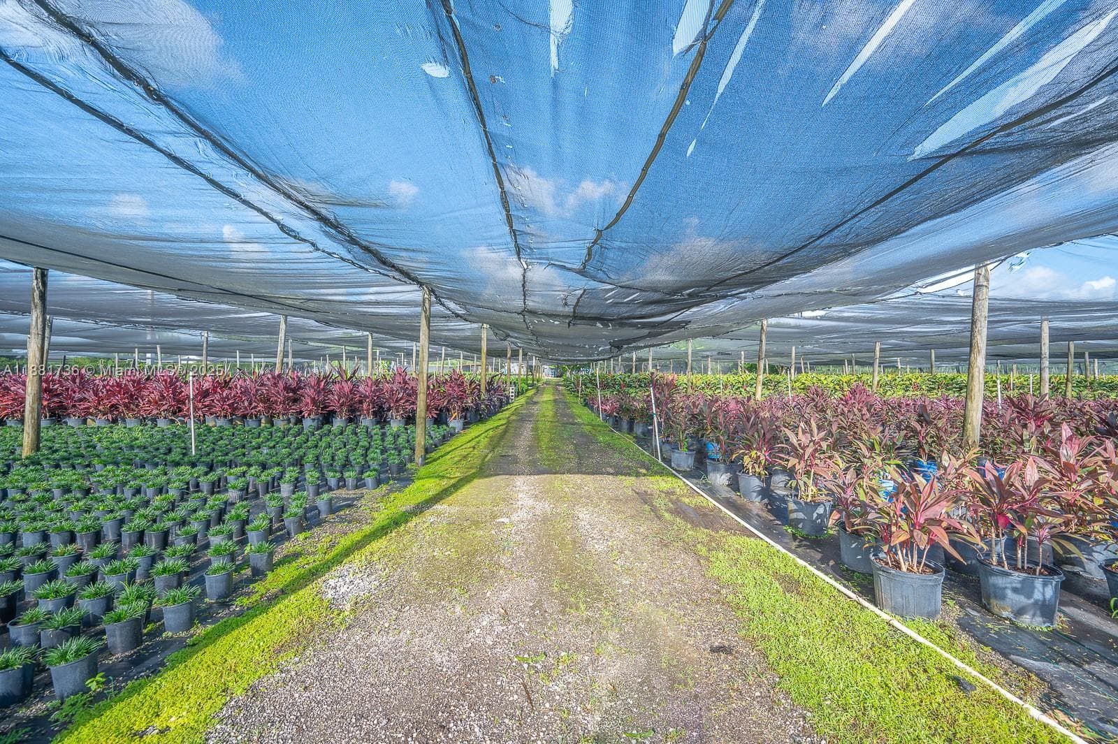 20750 SW 256 ST, Homestead FL 33031 — 32