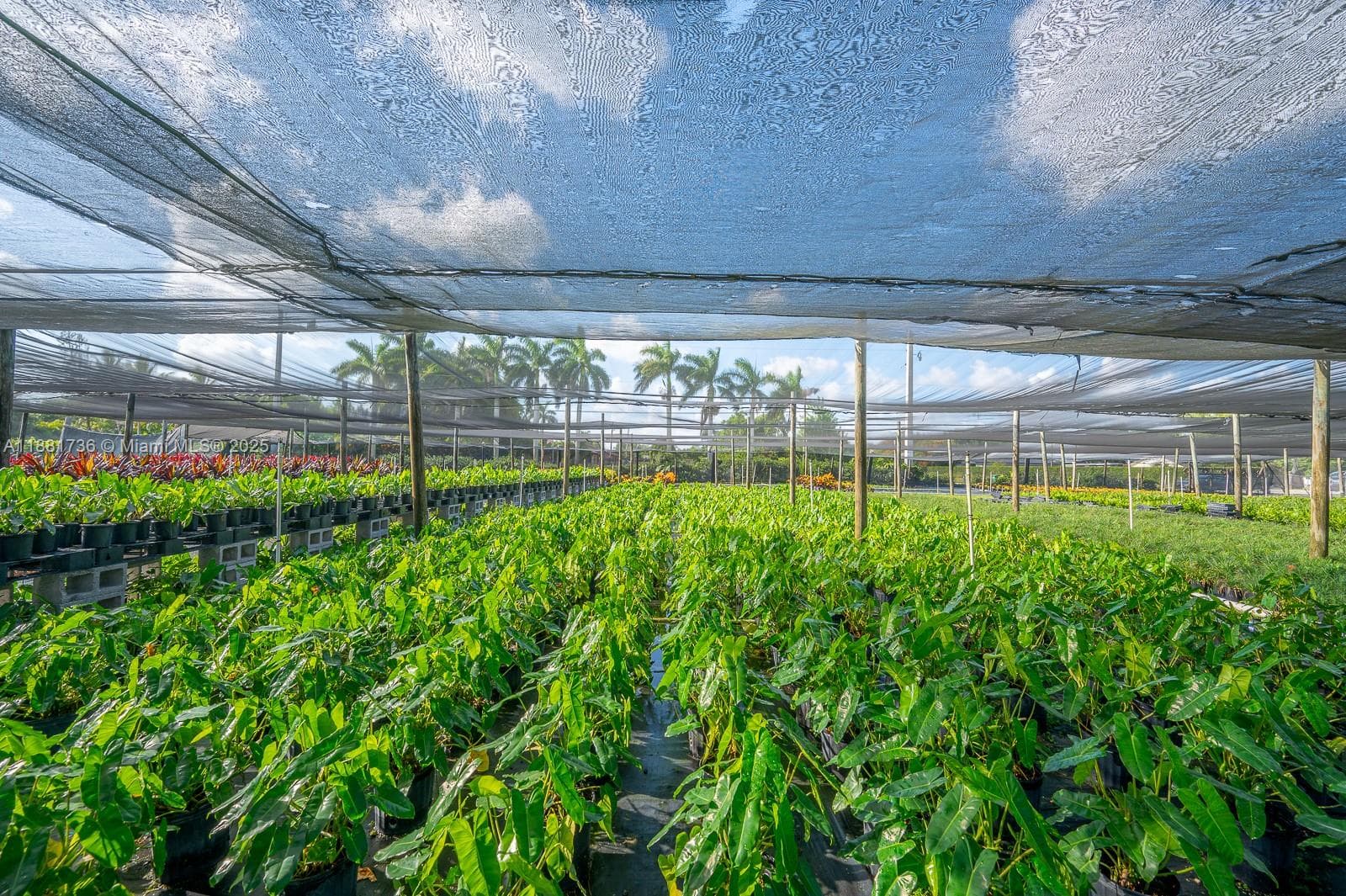 20750 SW 256 ST, Homestead FL 33031 — 34