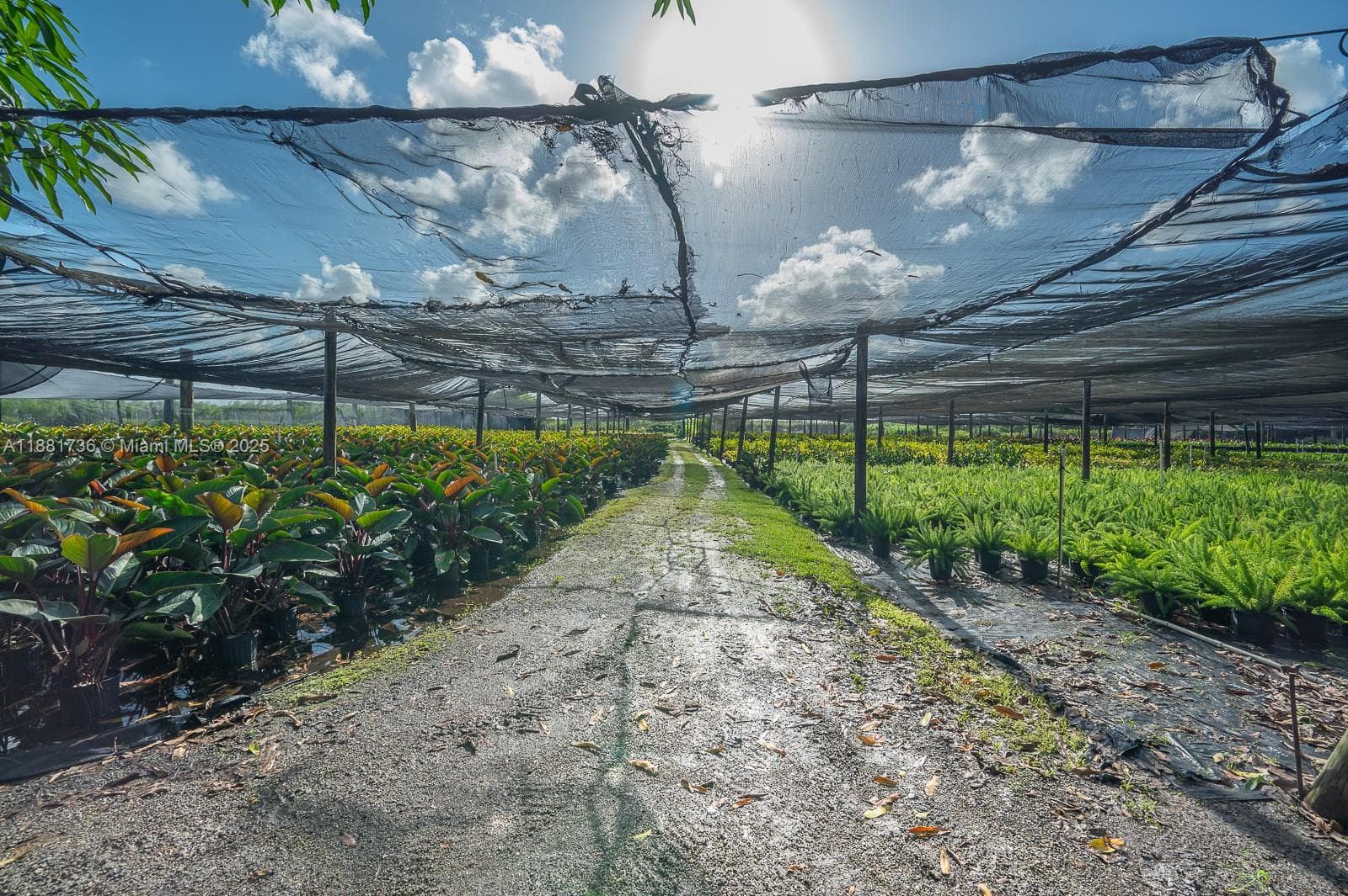 20750 SW 256 ST, Homestead FL 33031 — 45