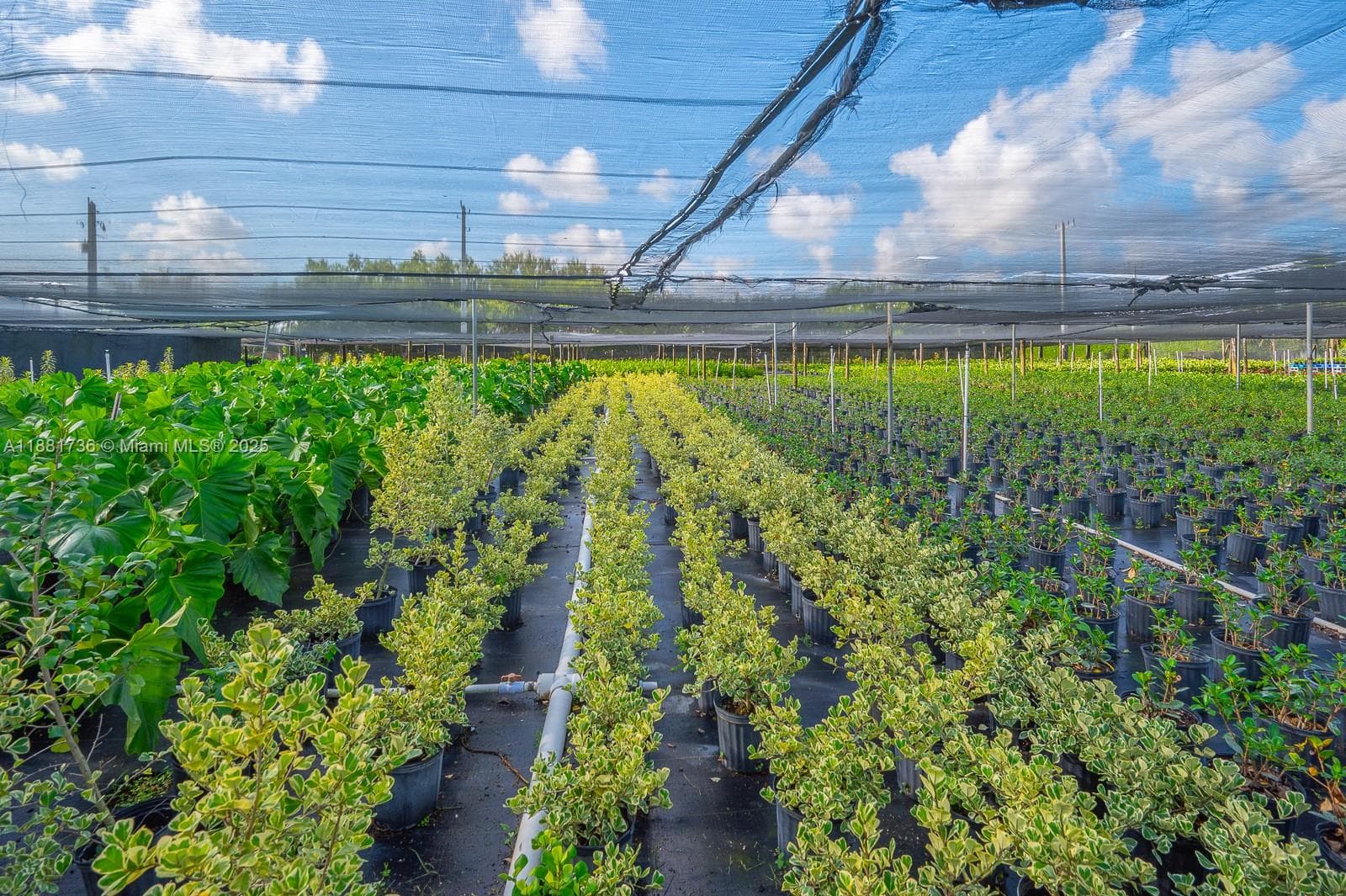 20750 SW 256 ST, Homestead FL 33031 — 18