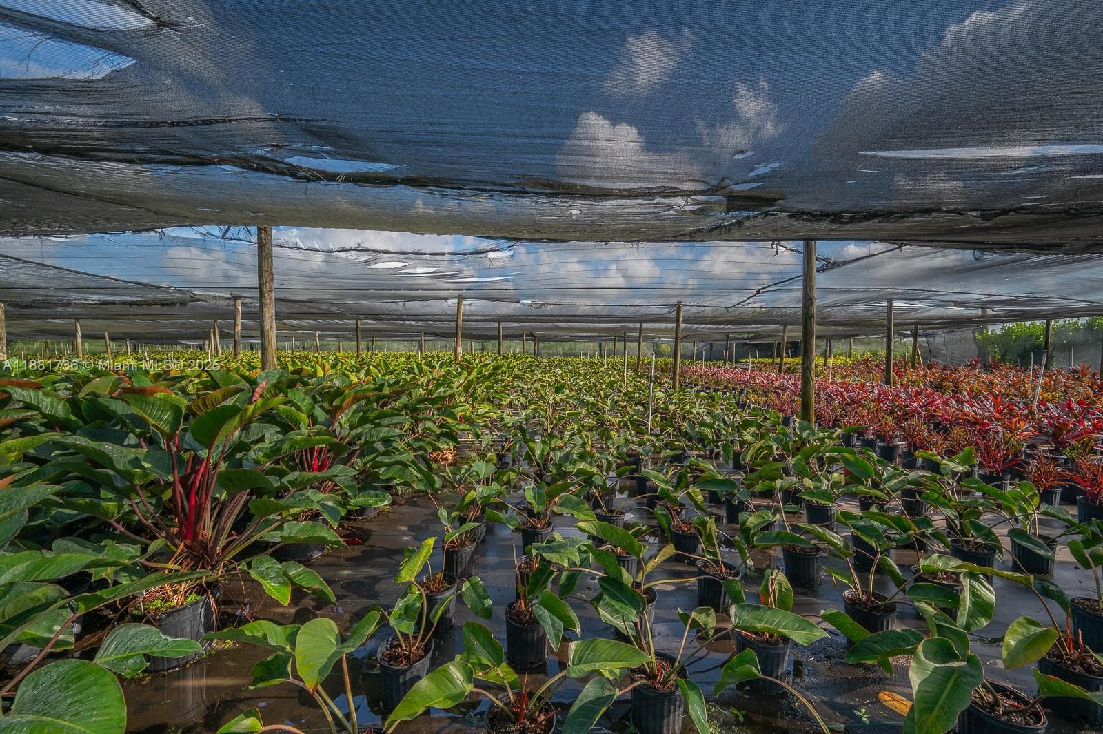 20750 SW 256 ST, Homestead FL 33031 — 37