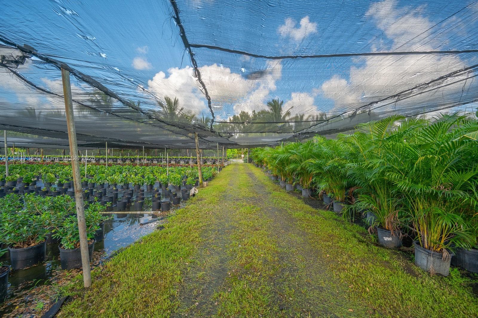 20750 SW 256 ST, Homestead FL 33031 — 15