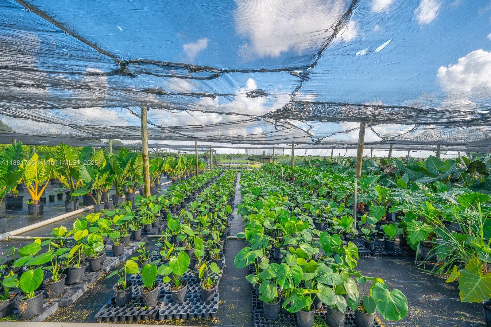 20750 SW 256 ST, Homestead FL 33031 — 19
