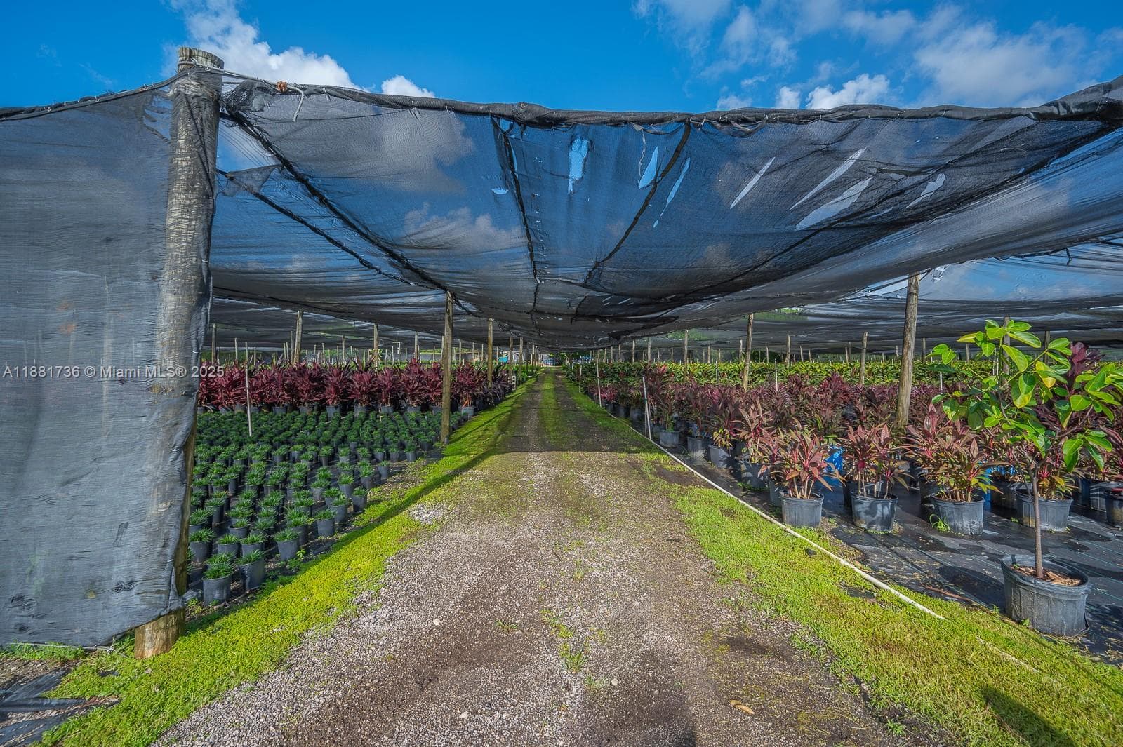 20750 SW 256 ST, Homestead FL 33031 — 40