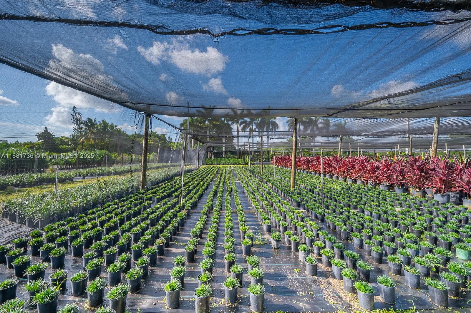 20750 SW 256 ST, Homestead FL 33031 — 39