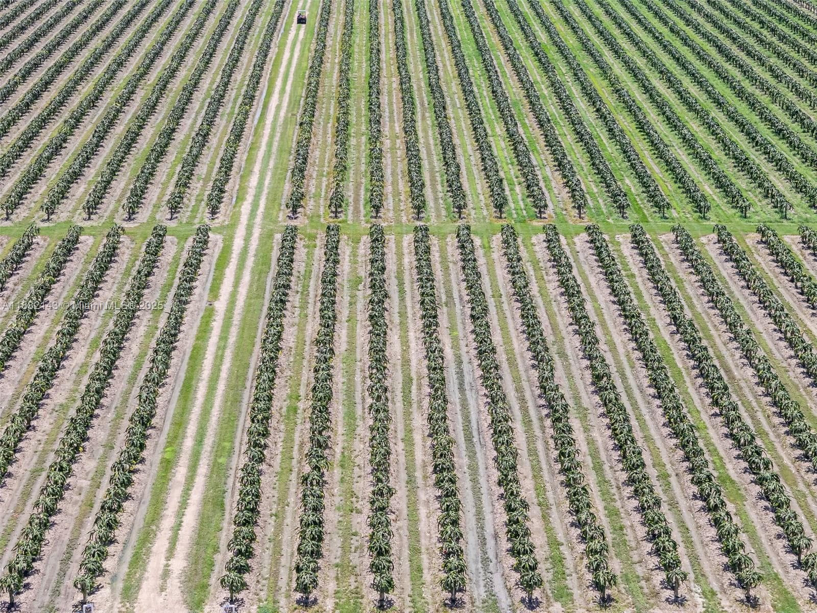 SW MIAMI-DADE, Miami FL 33196 — 14