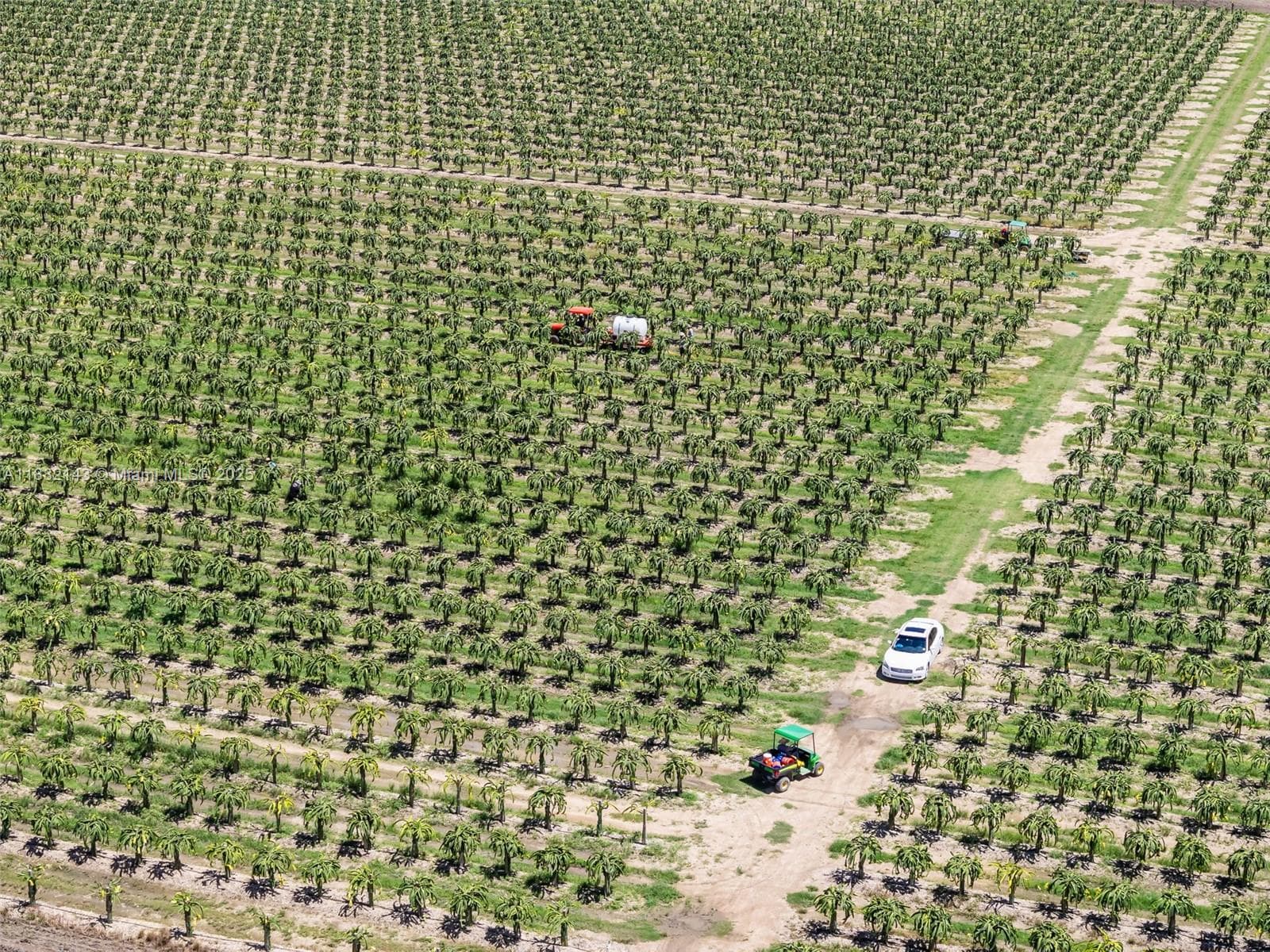 SW MIAMI-DADE, Miami FL 33196 — 15