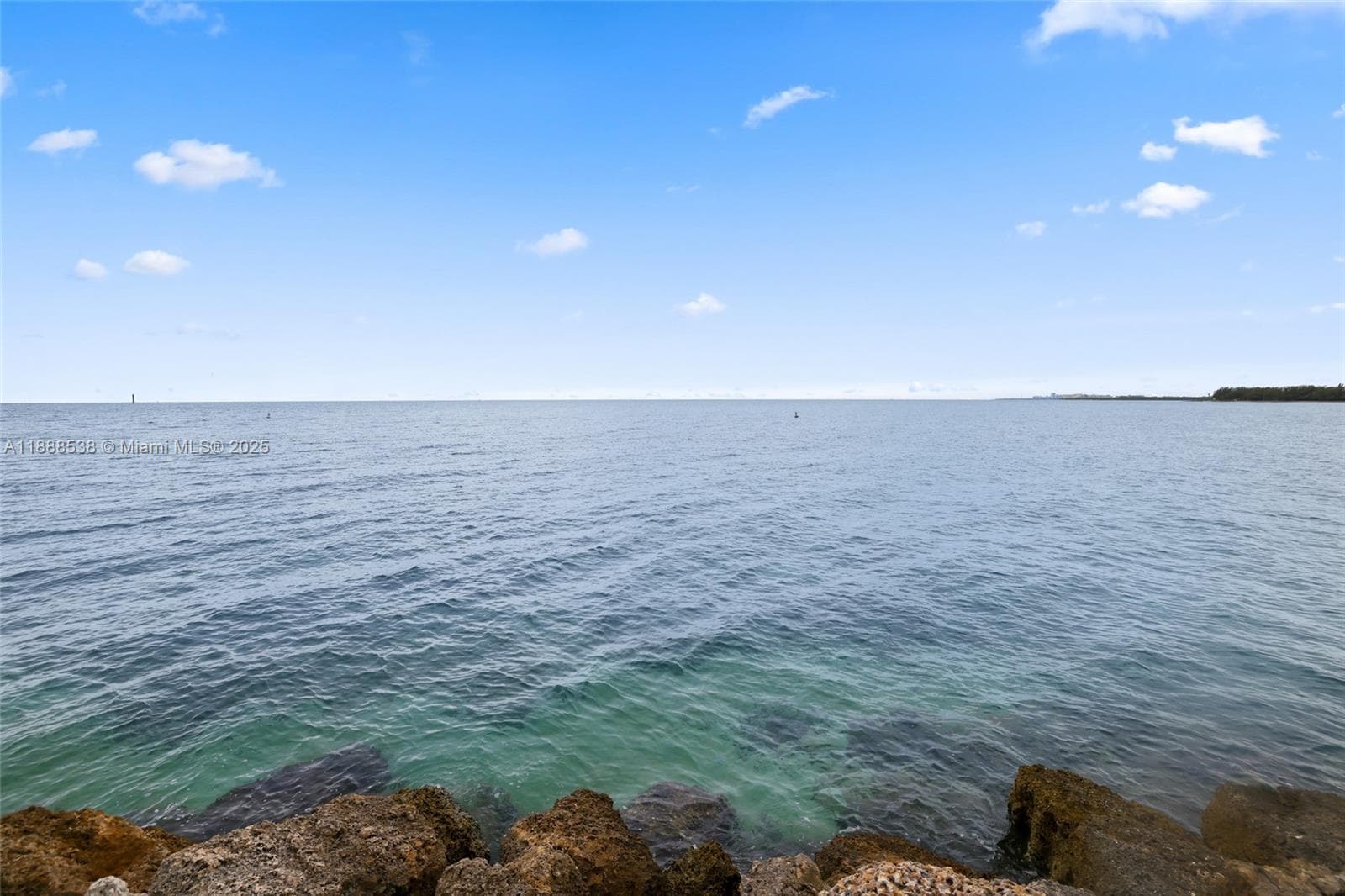 19216 Fisher Island Dr # 19216, Miami Beach FL 33109 — 55