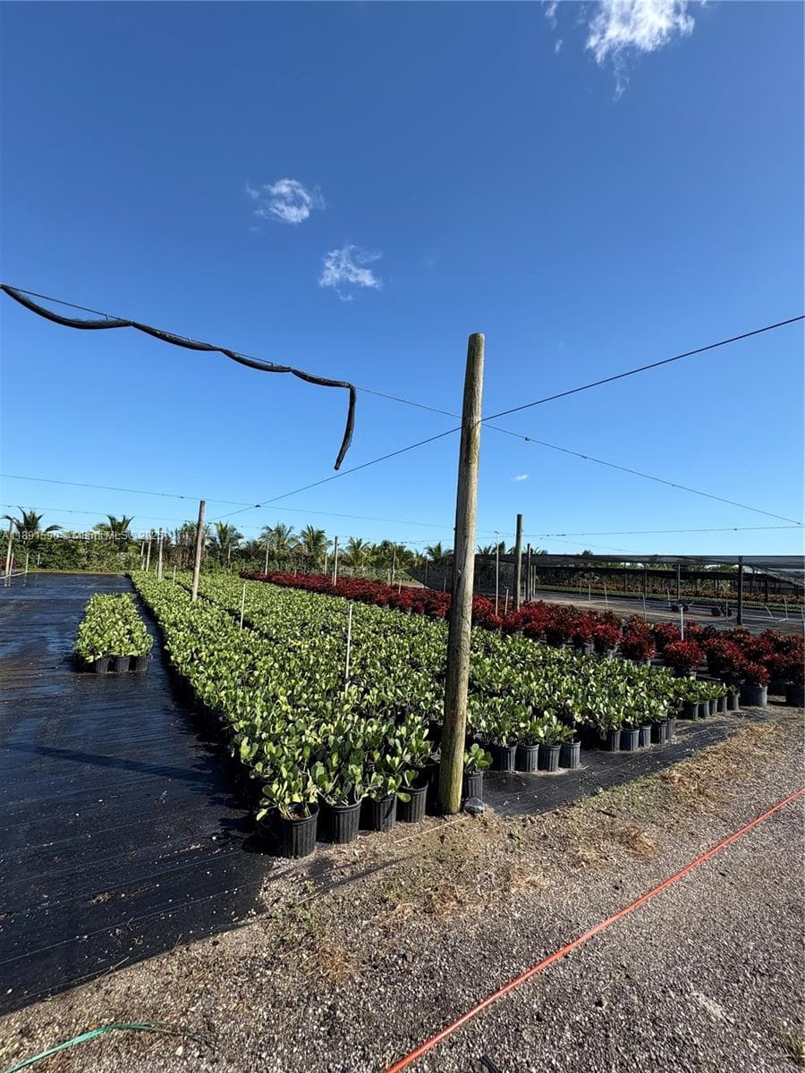 krome, Homestead FL 33034 — 23