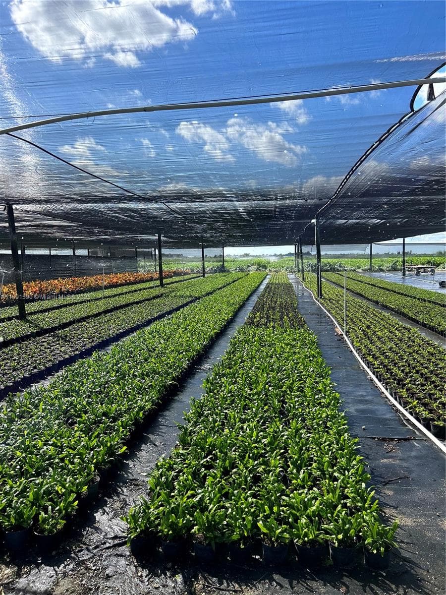 krome, Homestead FL 33034 — 13