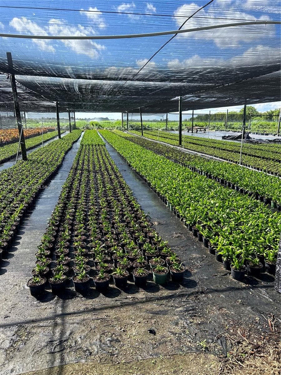 krome, Homestead FL 33034 — 12