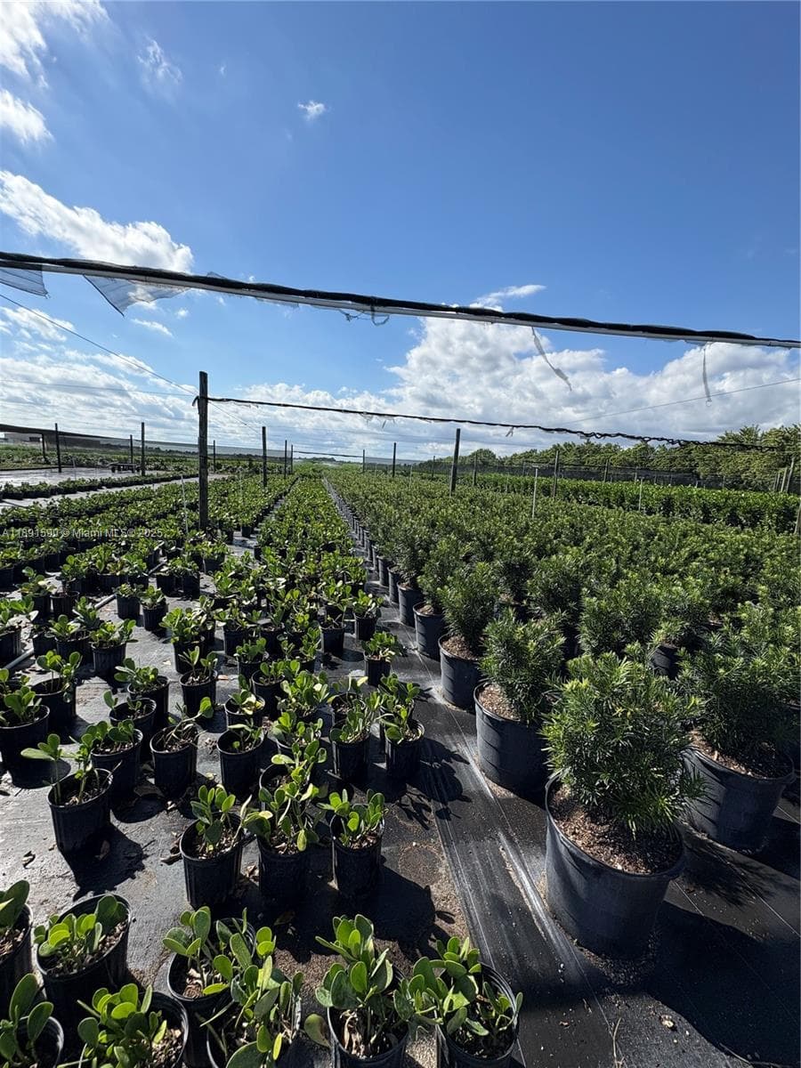 krome, Homestead FL 33034 — 24