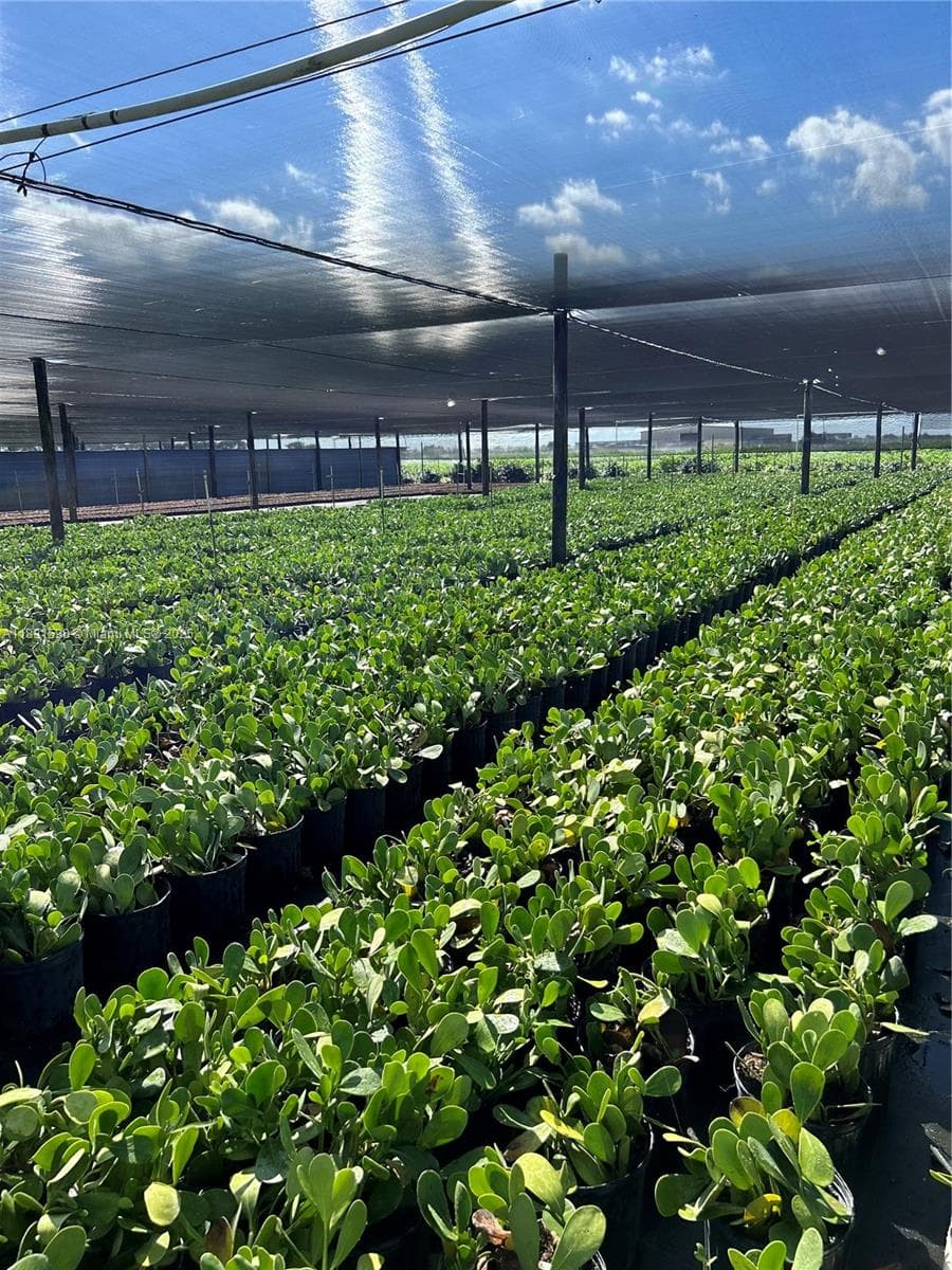 krome, Homestead FL 33034 — 10