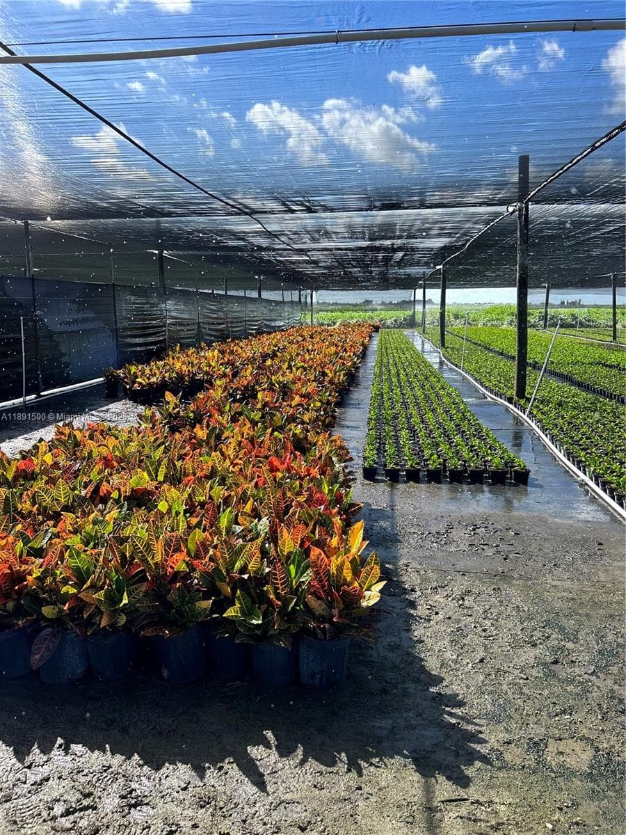 krome, Homestead FL 33034 — 11