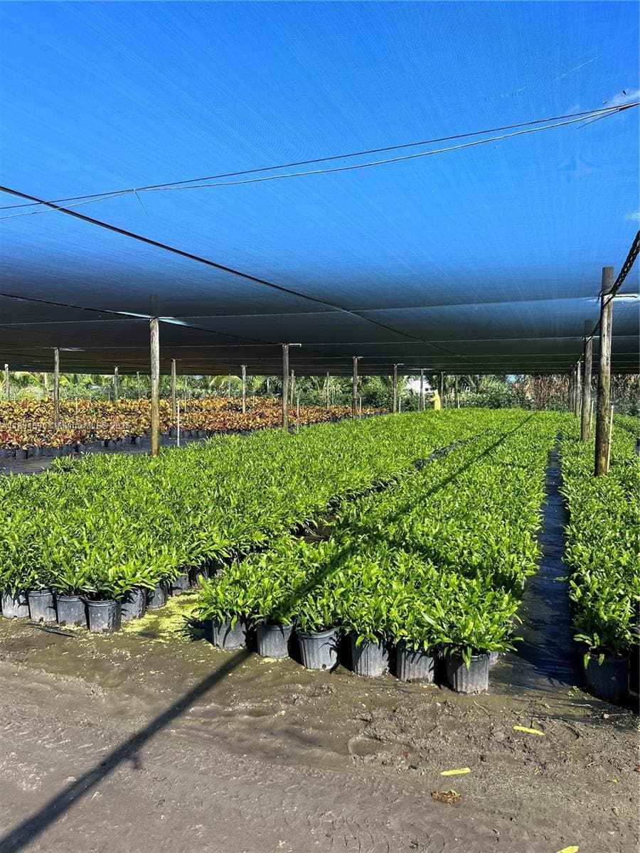 krome, Homestead FL 33034 — 8