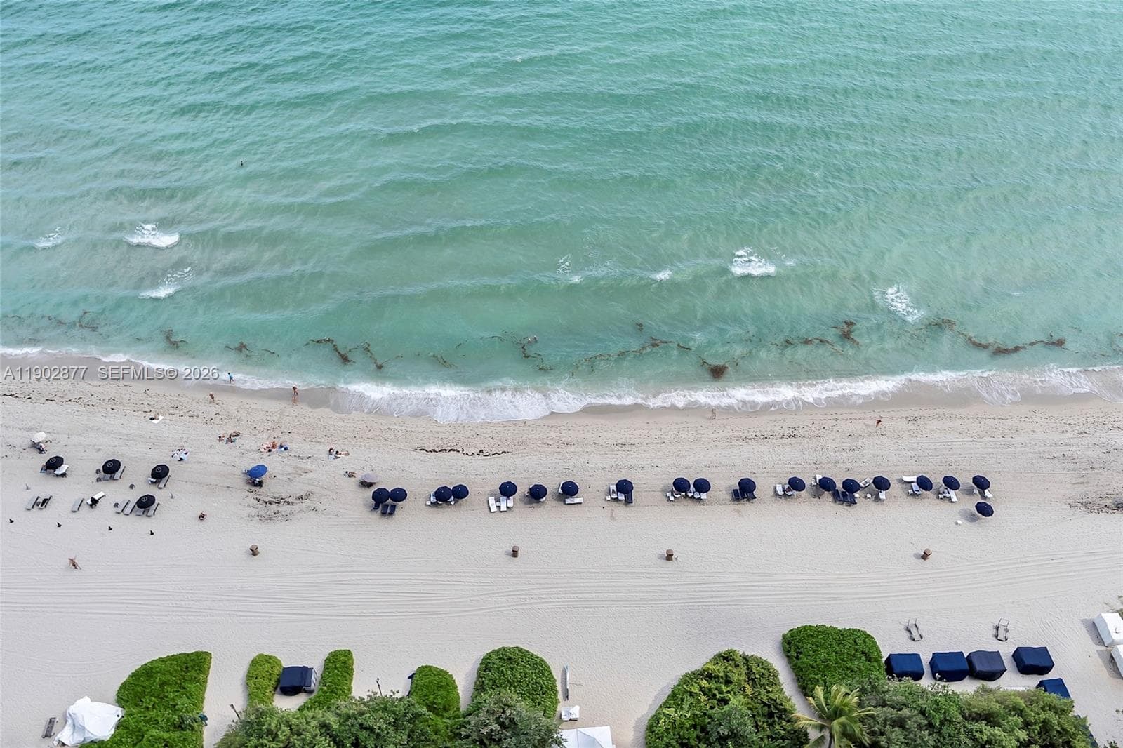 17121 Collins Ave # 2906, Sunny Isles Beach FL 33160 — 16
