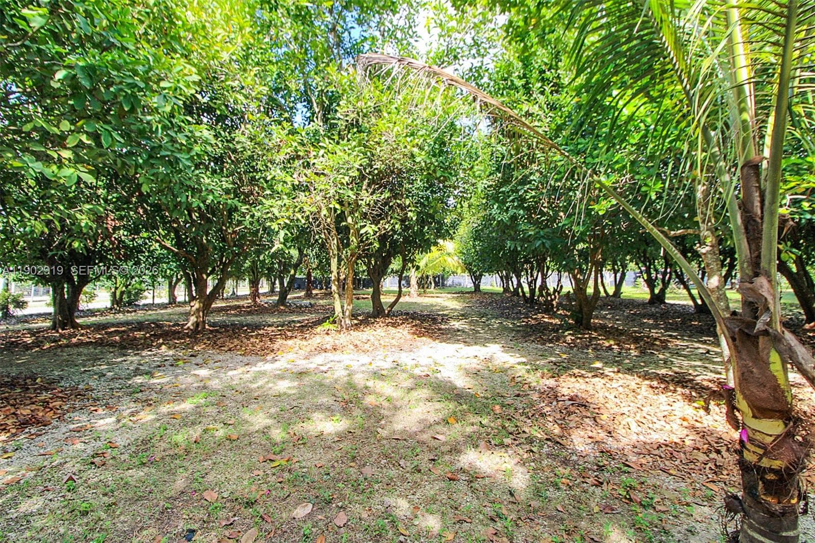 37225 SW 214th Ave, Homestead FL 33034 — 22