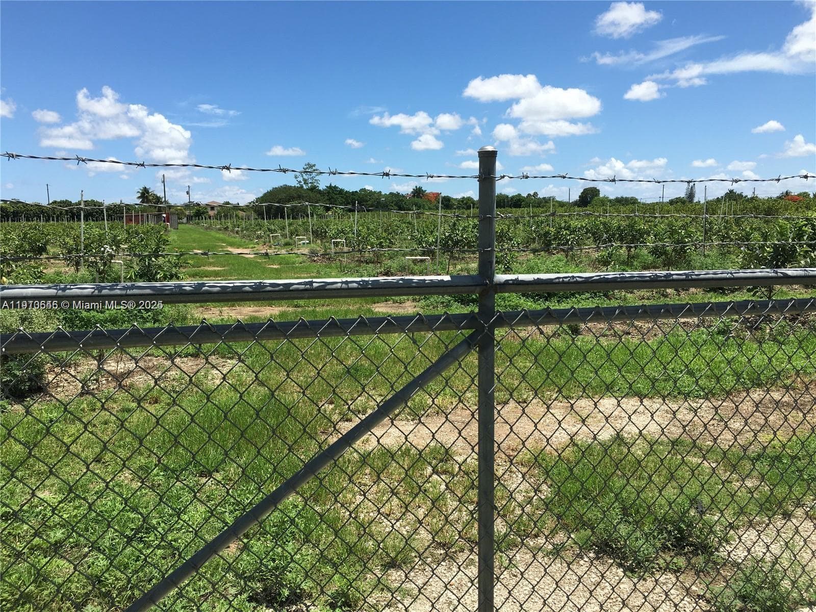 15000 SW 256 ST., Homestead FL 33032 — 12
