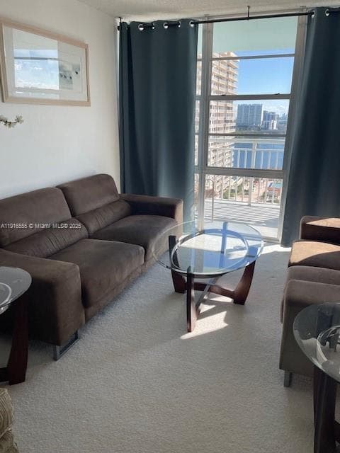301 174th St # 1605, Sunny Isles Beach FL 33160 — 19