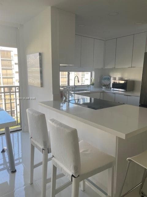 16909 N Bay Rd # 805, Sunny Isles Beach FL 33160 — 21