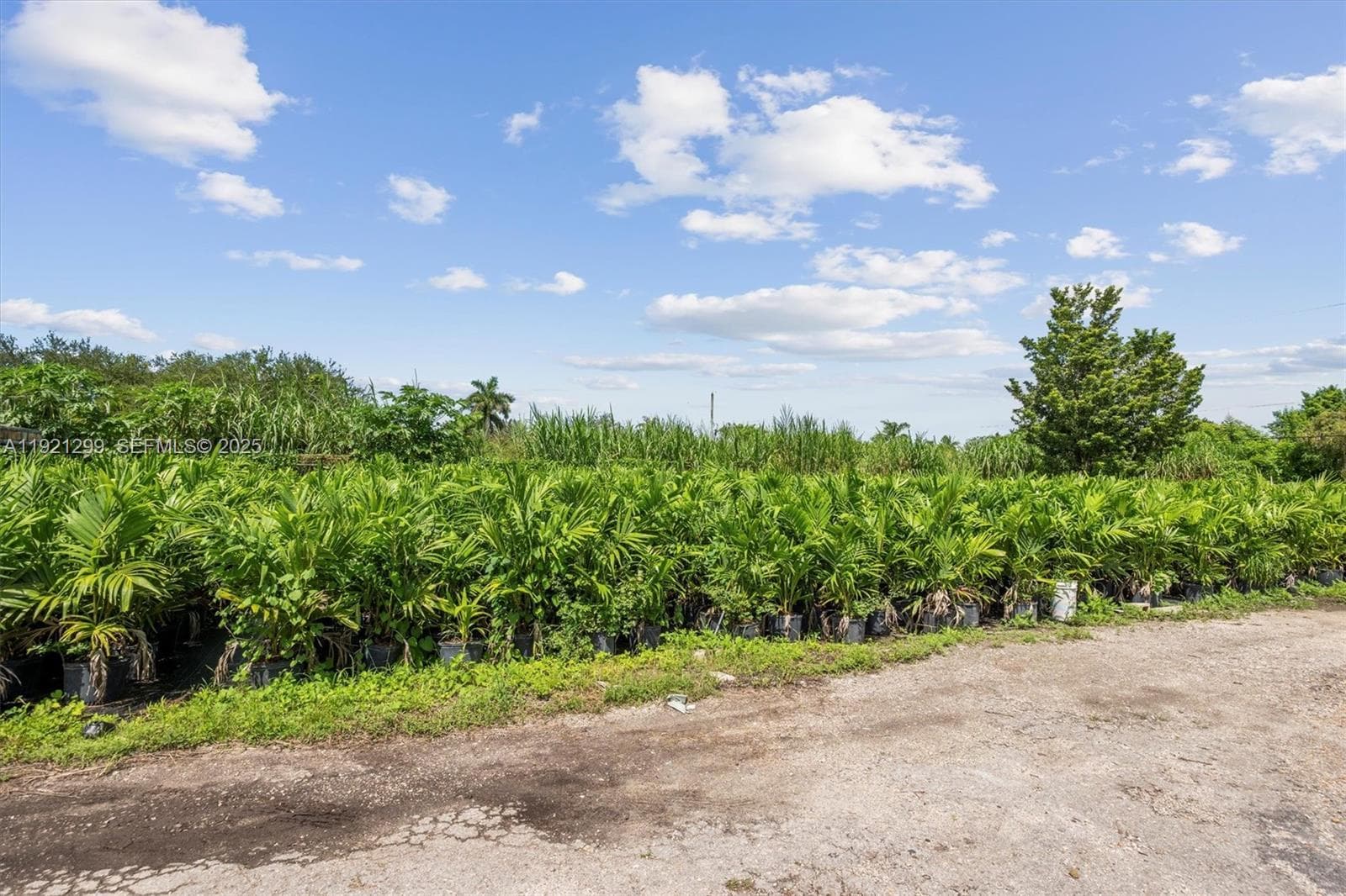 20851 SW 242nd St, Homestead FL 33031 — 33